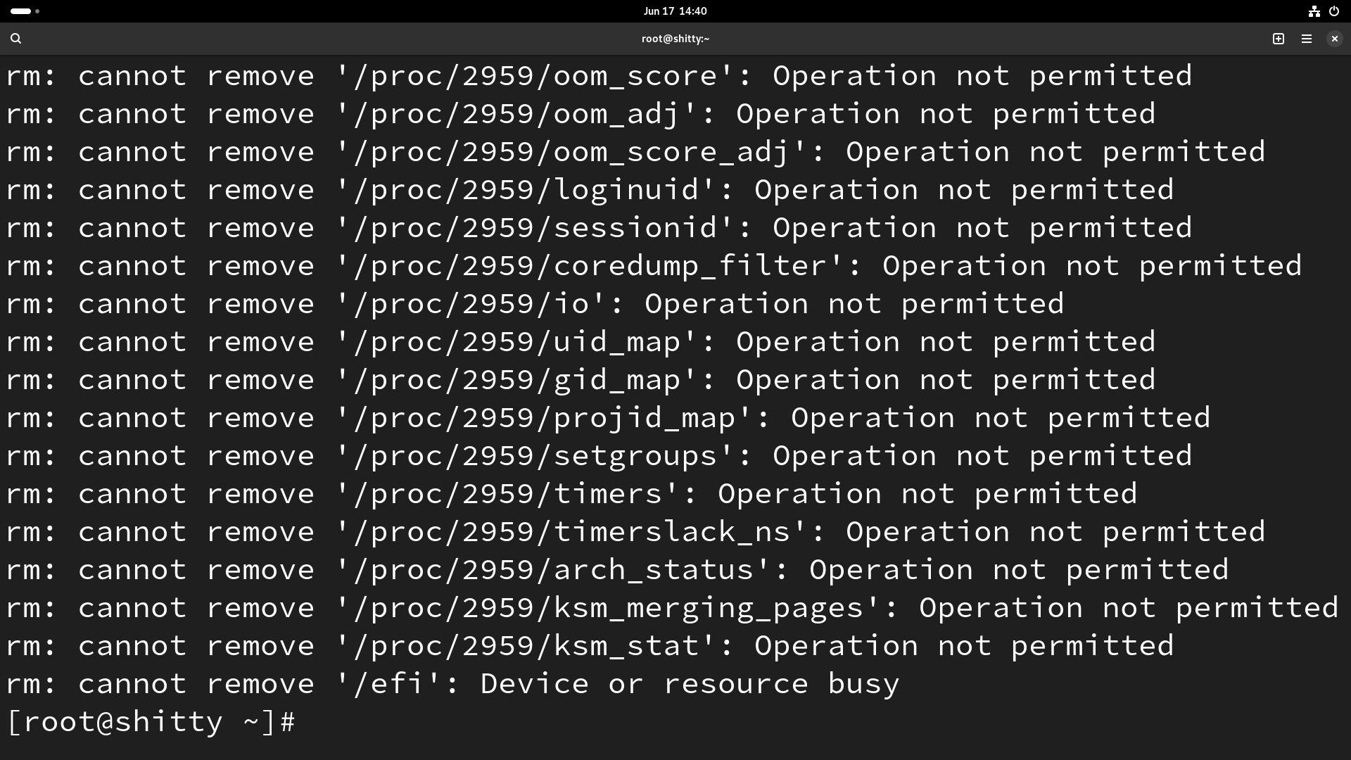 more messages stating that rm couldn't remove some things in the /proc directory, unable to remove /efi, dumped back at root prompt